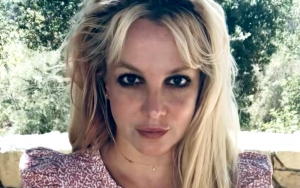 Britney Spears Poses Completely Naked as She's 'Celebrating' After Conservatorship Battle Win