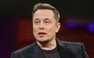 Elon Musk Says Twitter Is 'Freed' After Takeover and Departures of Top Executives
