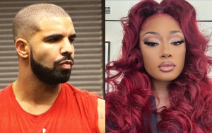 Drake May Not Diss Megan Thee Stallion as Research Shows He Appears to Mock Another Stallion