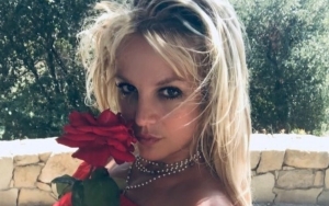 Britney Spears Calls Nude Posts Her Way to Express Freedom and Learn to Love Herself