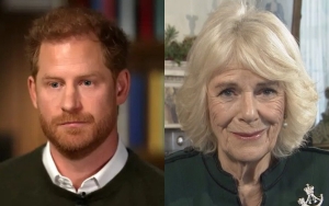 Prince Harry Insists He Doesn't Look at Camilla as 'Evil Stepmother'