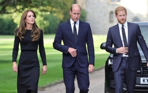 Prince Harry Scared of Losing Prince William When Older Brother Dated Kate Middleton