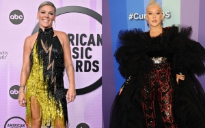 Pink Speaks Out After Being Accused of Shading Christina Aguilera When Talking About 'Lady Marmala'
