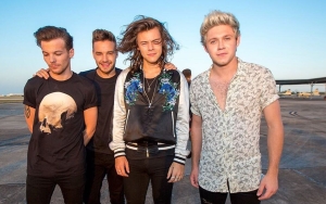 Louis Tomlinson Can't See One Direction Reuniting Amid Harry Styles' Massive Solo Success