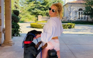 Britney Spears Gets a Warning After Her Dog Bites Elderly Man