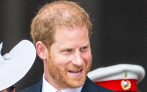 Prince Harry Weighs In on Reincarnation