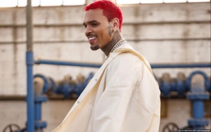 Chris Brown Defended by Fans After Activist Accuses Him of Mocking Disabled People