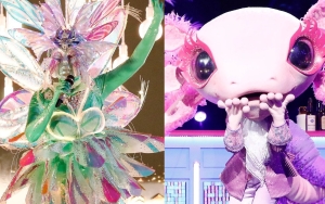 'The Masked Singer' Recap: Find Out Fairy and Axolotl's Real Identities on Country Night 