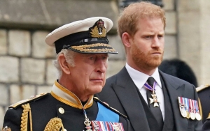 Prince Harry Had Emotional Talk With King Charles Before Confirming to Attend Coronation