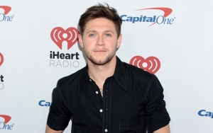 Niall Horan Once Went to White House in Wee Hours to Escape Fans' Attention