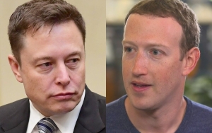 Elon Musk Challenges Mark Zuckerberg to Cage Fight, Mark Responds 'Send Me Location'