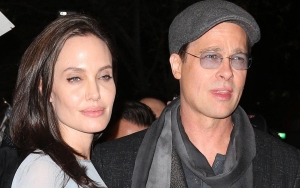 Angelina Jolie Slams Brad Pitt's 'Ludicrous' Claim of Building Their French Wine Business