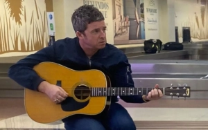 Noel Gallagher Admits He Was to Blame for His Cats' Nervous Breakdowns