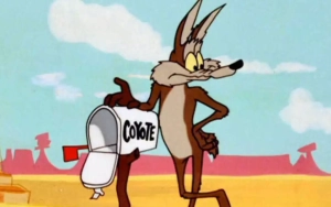'Looney Tunes' Spin-Off Movie 'Coyote vs. Acme' Is Axed