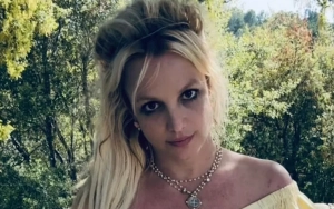 Britney Spears Posts Picture With Ex David Lucado After Sam Asghari Split