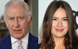 King Charles Praised for His Life-Saving Help to Sophie Winkleman Following Her Car Crash
