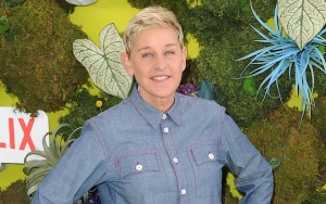 Ellen DeGeneres Reflects with Humor and Honesty on Her TV Show's Controversial End