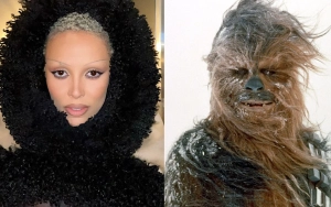 Doja Cat Musings on Chewbacca's Sexuality Raise Questions for 'Star Wars' Fans