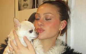 Nicola Peltz-Beckham Plans to Sue Dog Groomer After Chihuahua's Sudden Death