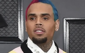 Chris Brown Sues Warner Bros. for $500 Million Over Defamatory Docu-Series