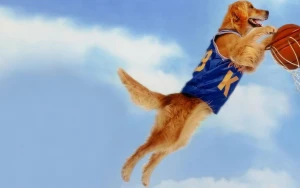Air Bud Returns to Theaters With Dog-Friendly Summer Screenings Across US