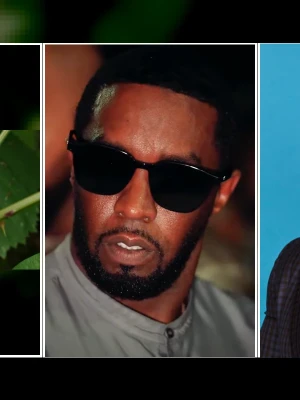 Daphne Joy Details Extortion and Abuse Behind Leaked Diddy Tape Scandal