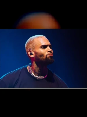 Chris Brown May Face New Dog Attack Trial If Settlement Is Refused