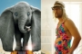 Box Office: 'Dumbo' Underperforms as Matthew McConaughey Hits Career Low With 'Beach Bum'