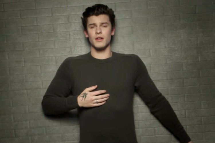 Shawn Mendes Braves Brutal Storm in Emotional Music Video for 'In My Blood'