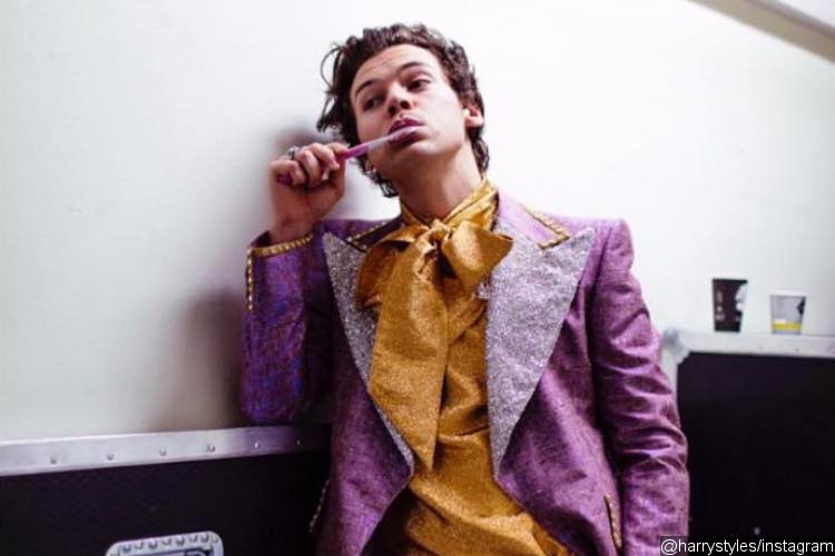 Harry Styles' Hollywood Adventure to Be a TV Sitcom