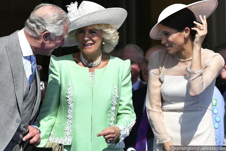 Meghan Markle Spotted Holding Hands With Camilla - Internet Reacts