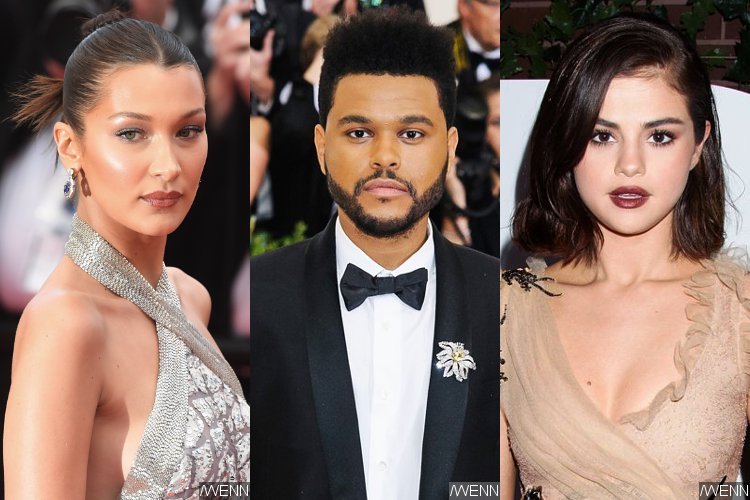 Bella Hadid and The Weeknd Fought Over Selena Gomez Before Cannes