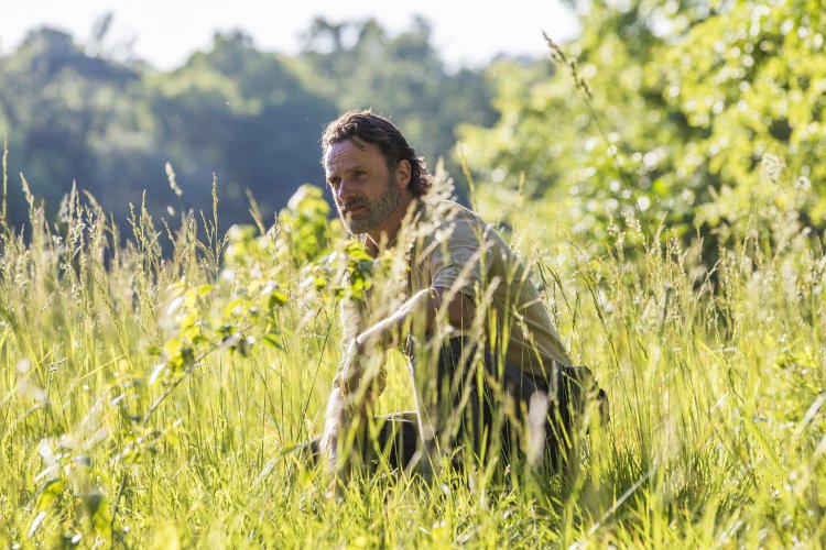 Andrew Lincoln Reportedly Leaving 'The Walking Dead' in Season 9