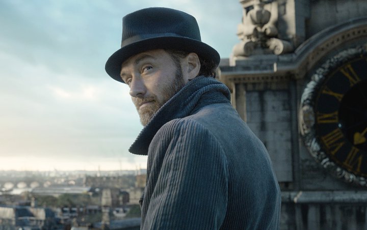 Jude Law Addressed Dumbledore's Sexuality in 'Fantastic Beasts'