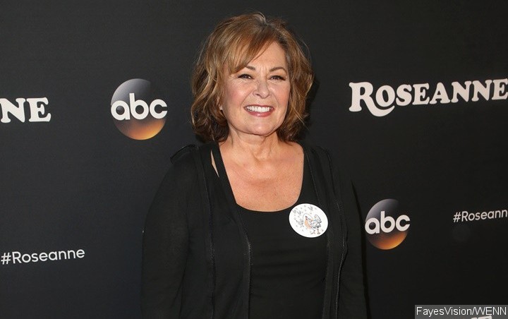 Roseanne Barr Angrily Addresses Racist Tweet in Bizarre Interview Video