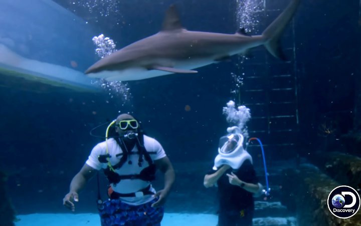 Watch Shaquille O'Neal Defy Death Amid Shark Attack