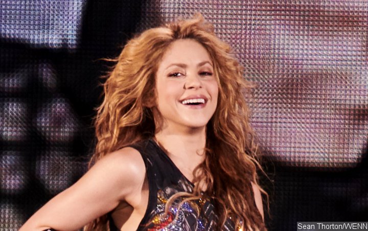 Shakira Puts Miami Beach Home on the Market Again