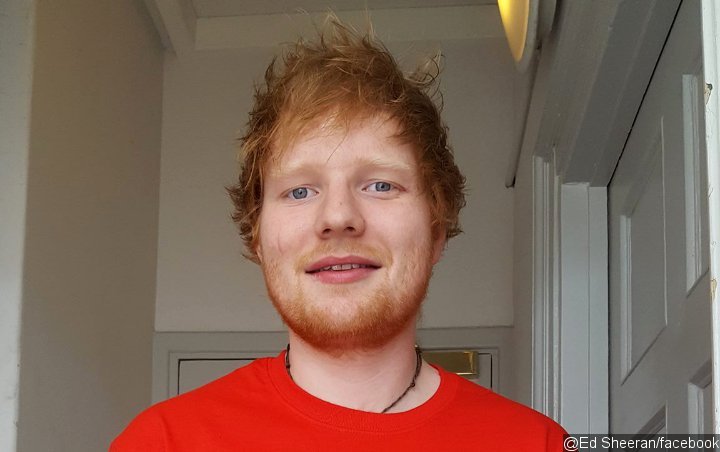 Ed Sheeran Planning a Year Hiatus to Make Babies After Tour