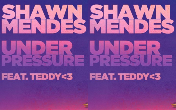 Shawn Mendes Excited to Work With Teddy Geiger for 'Under Pressure' Cover