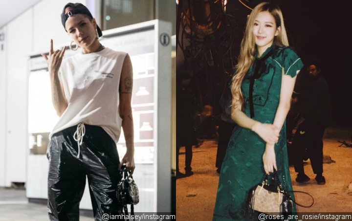 Halsey Praises BLACKPINK's Rose in Korean - Read the Cute Instagram Comment