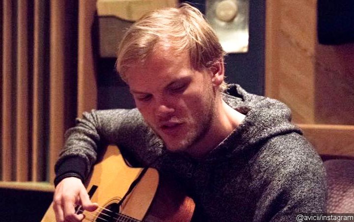 Avicii's Family Possibly Working With Record Label to Release Posthumous Album