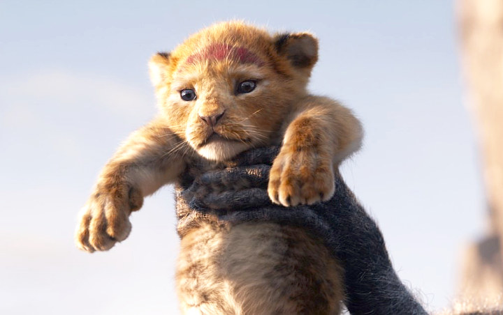 'Lion King': Petition Calling on Disney to Drop 'Hakuna Matata' Patent Rapidly Gains Support