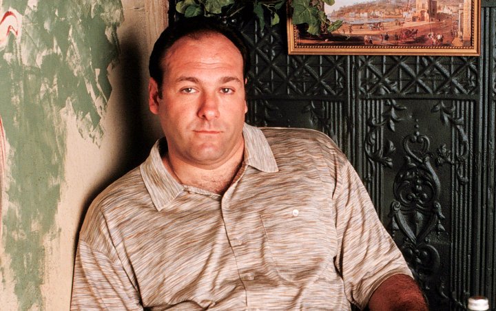 'The Sopranos' Creator Confirms Young Tony's Appearance in Prequel Film