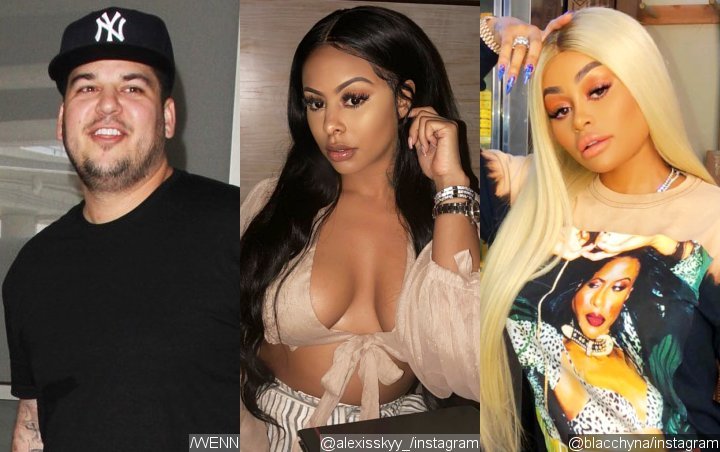 Rob Kardashian Crushing on Alexis Skyy After Her Party Fight With Ex Blac Chyna