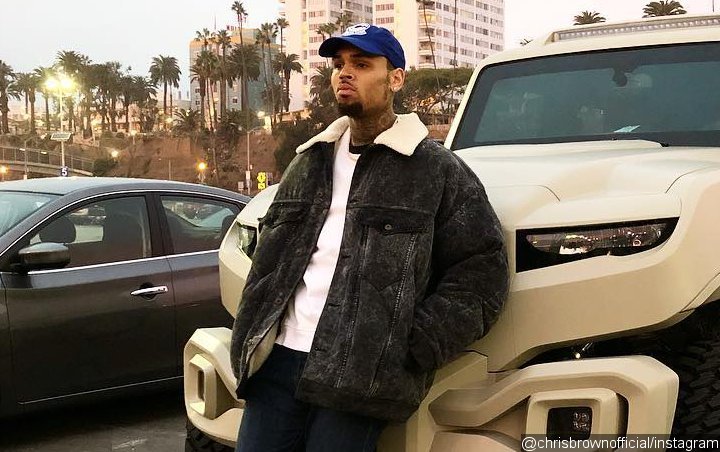 Chris Brown to Counter Rape Accuser's Claim With Defamation Lawsuit