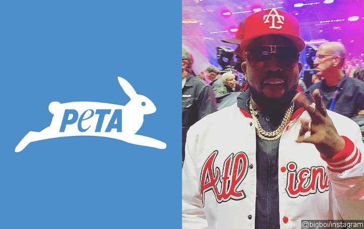 Big Boi Lands in Hot Water With PETA Over Fur Coat During Super Bowl Halftime Show