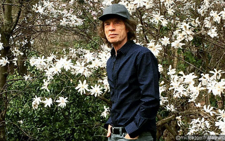 Mick Jagger Enjoys Walk in the Park After Heart Valve Replacement Surgery