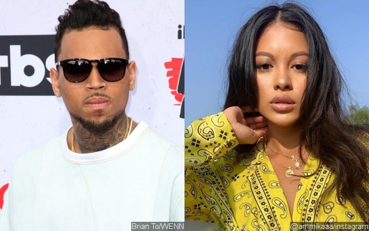 Here's Why Chris Brown's Friends Are Convinced His GF Ammika Harris Is Pregnant