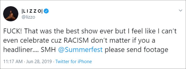 Lizzo Accuses Summerfest's Security Guard of Racist Attack on Her Team