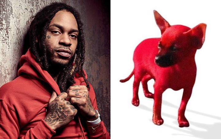Valee Downplays PETA's Warning for Dying His Dog Red